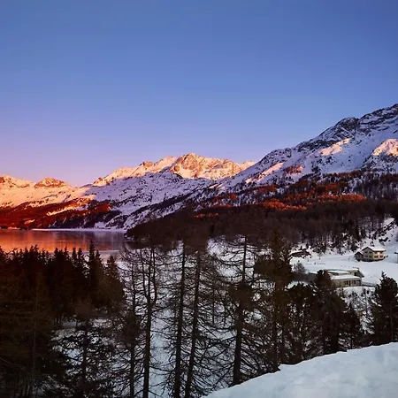 Palace Engadin-st Moritz Co2-neutral 4*