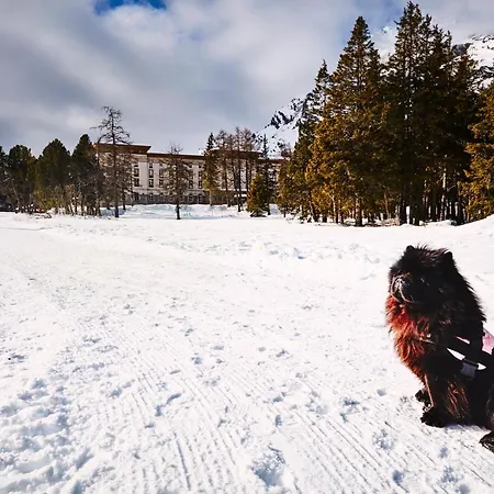 Palace Engadin-st Moritz Co2-neutral