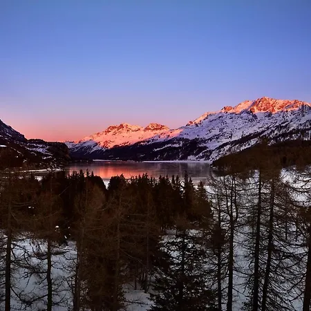 Palace Engadin-st Moritz Co2-neutral 公寓式酒店 马洛亚