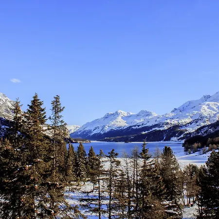מלון דירות Palace Engadin-st Moritz Co2-neutral מלויאז