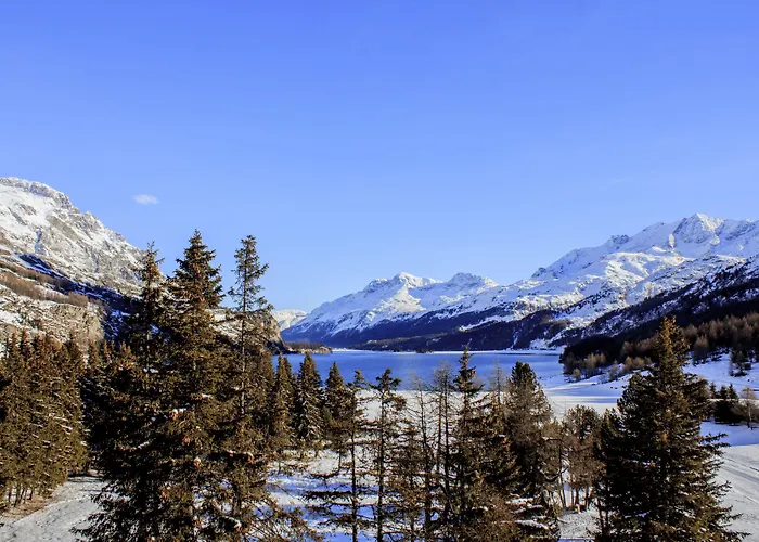 Aparthotel Palace Engadin-st Moritz Co2-neutral Maloja